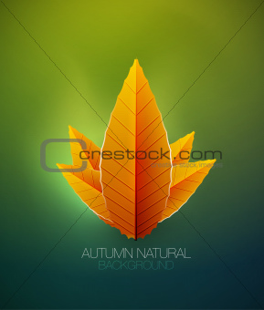 Autumn leaves concept. Vector nature background
