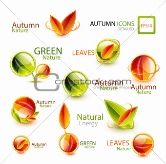 Autumn design elements