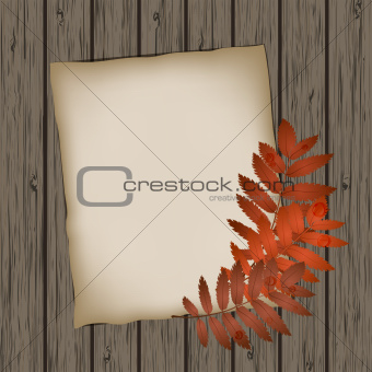 Paper sheet with autumn leaves on wooden background texture.