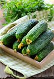 organic fresh vegetable cucumbers on wooden box