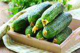 organic fresh vegetable cucumbers on wooden box