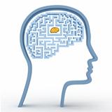 Human head with maze and brain