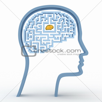 Human head with maze and brain