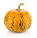 ripe pumpkin