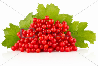 red berry with green leaves