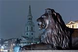 lion on trafalgar square