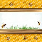 Landscape frame with bees