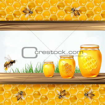 Landscape frame with glass jar bees