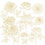 Set of one-colored outlined roses
