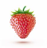 fresh strawberry 