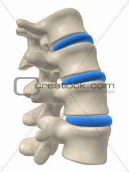 part of a spine