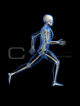 running man anatomy