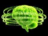 digital brain