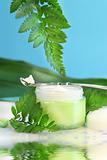 Rejuvenating face cream with green ferns