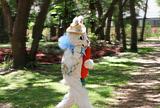 Easter Bunny On the Run