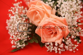 Romantic Roses on Red