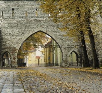 Street of city of Tallinn