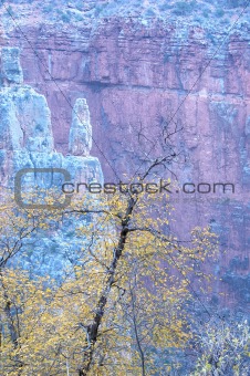 Grand Canyon fall foliage