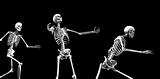 Skeleton Group