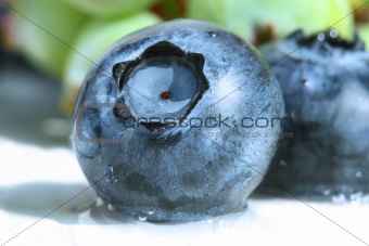 Closeup of a blueberry