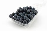 Blueberries in box