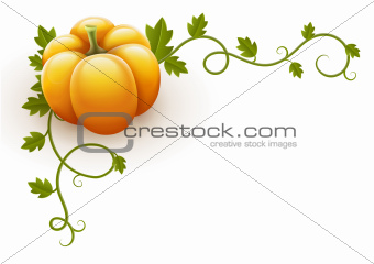 pumpkin vegetable with green leaves