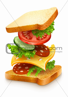 exploded view of sandwich ingredients