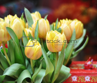 Yellow tulips (in soft focus)