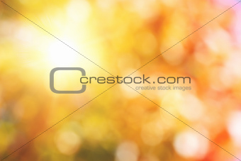 autumnal natural background with sun