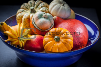Pumpkins in the bowl