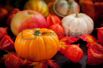 Pumpkins for Halloween