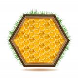 Frame with honeycombs