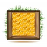 Honeycombs with wood