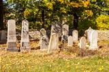 forgotten and unkempt Jewish cemetery 