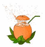 Orange Fresh Juice Splash