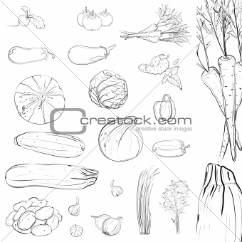 Fresh Vegetables Sketch Collection