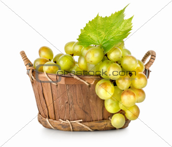 Grapes in a wooden basket isolated