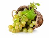 Grapes in a wooden basket
