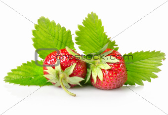 Ripe strawberries with leaves
