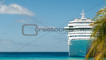 white cruise ship and palm tree