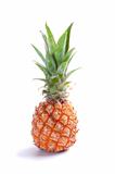 ripe juicy pineapple isolated