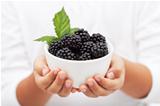 Hands holding a bowl with fresh blackberries