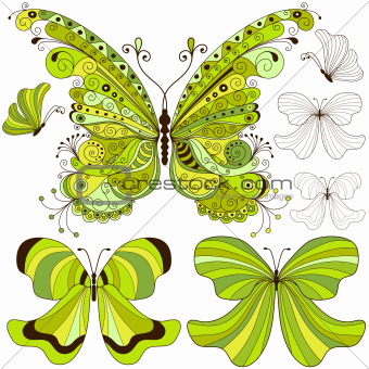 Set green vintage butterflies