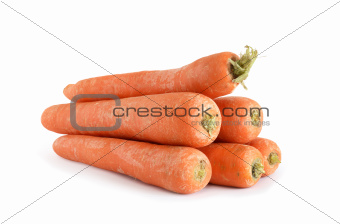 Carrot On White