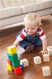 Young Boy Playing With Coloured Blocks At Home