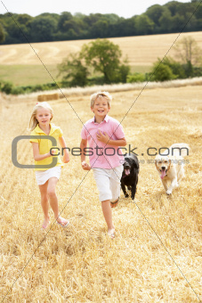 Children With Dogs Running Through Summer Harvested Field