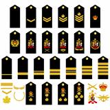 Canadian Army insignia