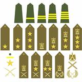 Egyptian army insignia