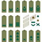 Israeli Army insignia