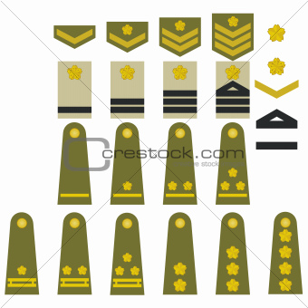 Japanese army insignia